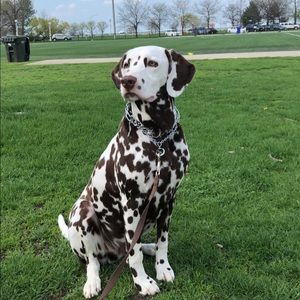 Hi everyone. Welcome to my poshmark!